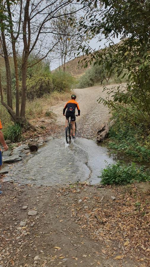 La Colina Ladyblue Apto Acogedor Cerca De Sierra Nevada Y Alhambra Cenes De La Vega Exterior foto