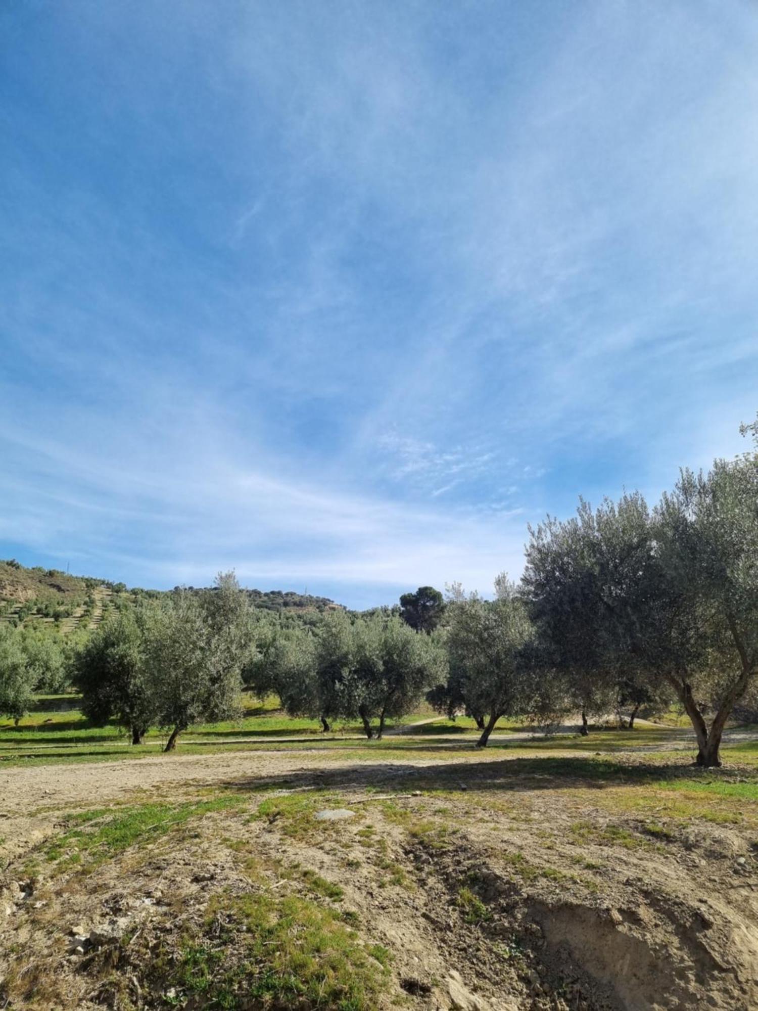 La Colina Ladyblue Apto Acogedor Cerca De Sierra Nevada Y Alhambra Cenes De La Vega Exterior foto